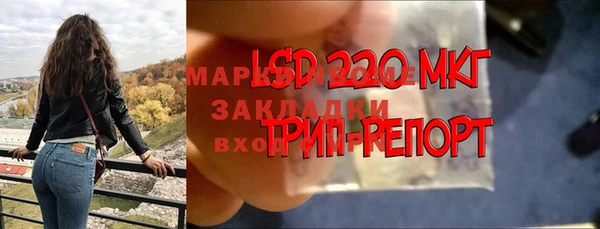 ПСИЛОЦИБИНОВЫЕ ГРИБЫ Нея
