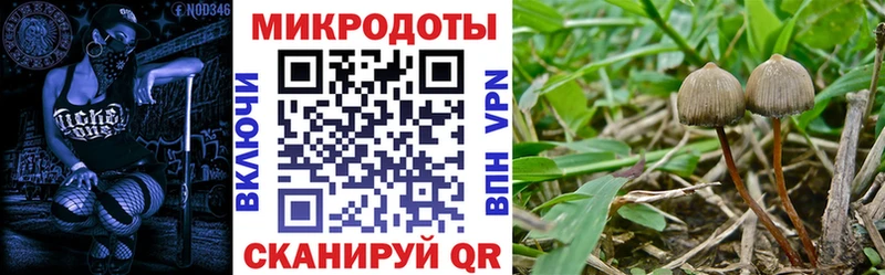 Галлюциногенные грибы GOLDEN TEACHER  Купить закладки  Апатиты 